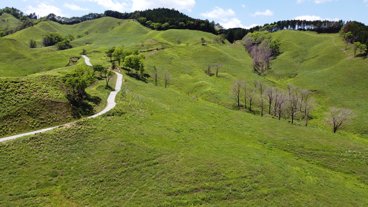 f:id:tekitow-rider:20210603201950j:plain