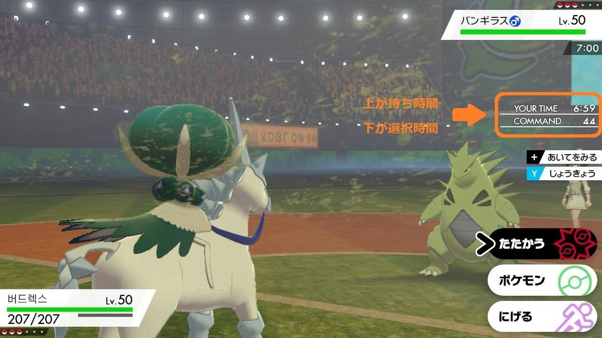 初心者おすすめ ポケモン対戦入門 全体像と用語の解説 タブンネさんのおさんぽ日記