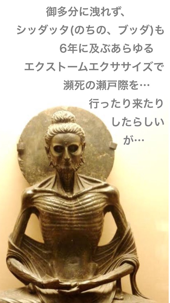 f:id:tekkan-non:20190522233113j:image f:id:tekkan-non:20190522233113j:image