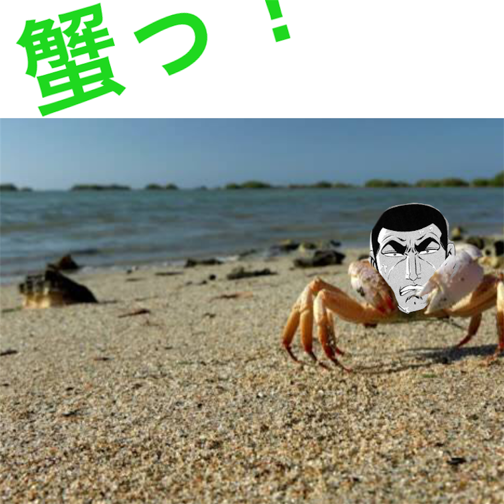 f:id:tekkan-non:20200209163047p:image f:id:tekkan-non:20200209163047p:image