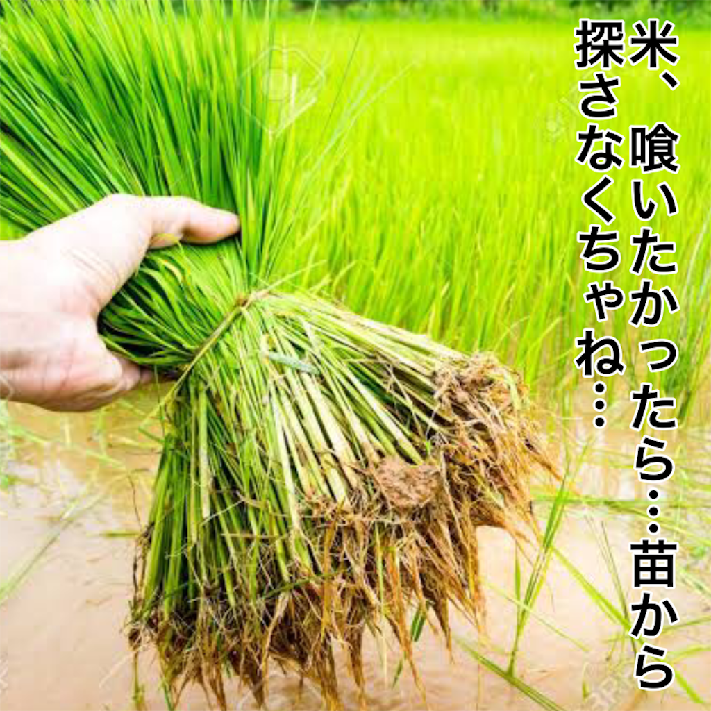 f:id:tekkan-non:20210123144642p:image f:id:tekkan-non:20210123144642p:image
