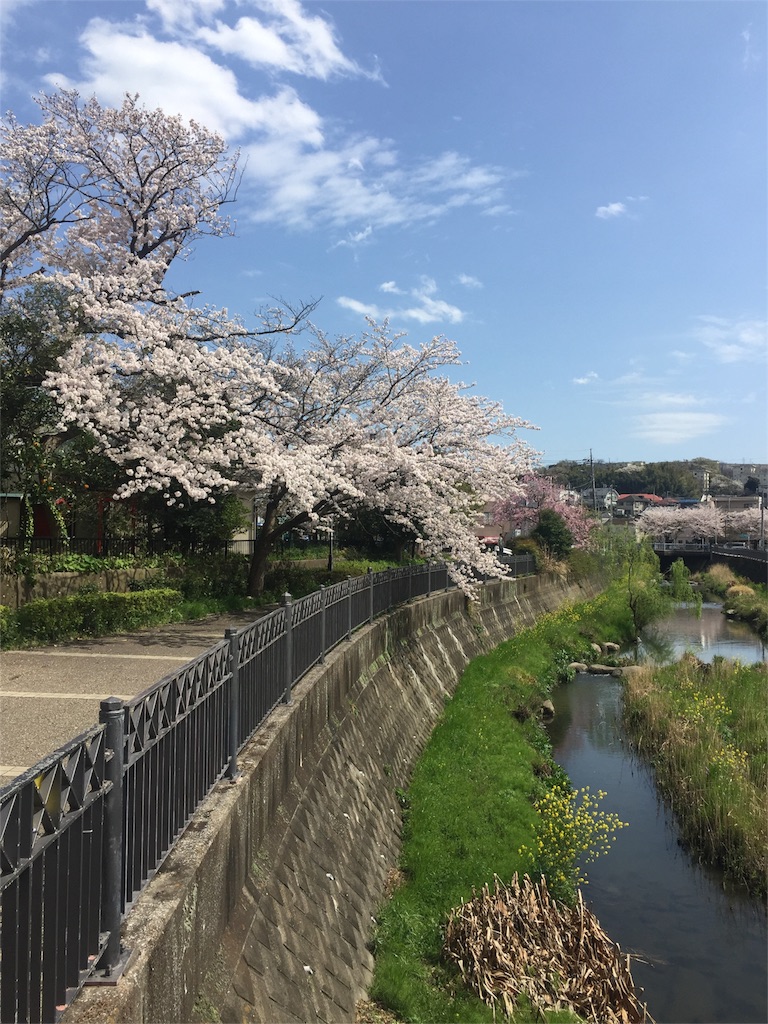 f:id:tekkukun323:20170413135754j:image
