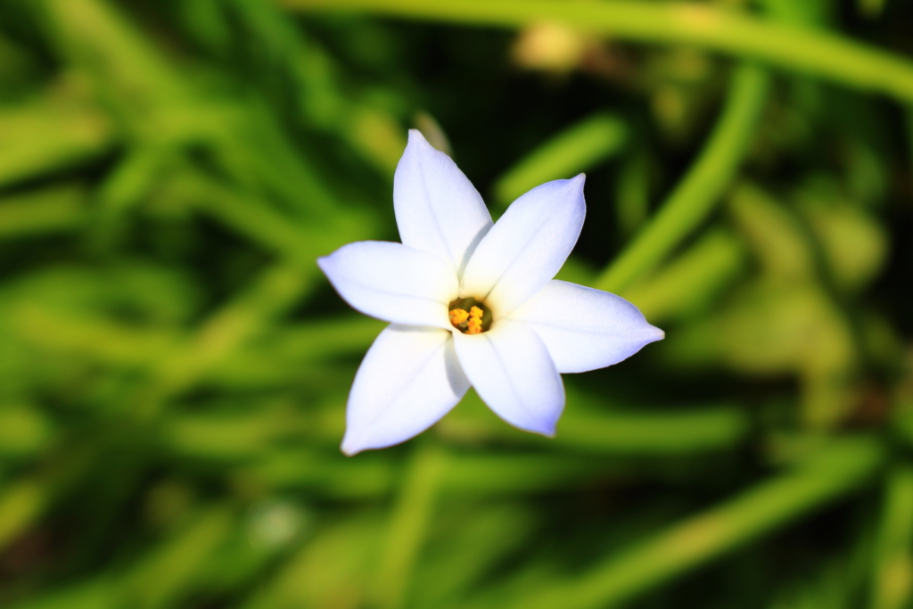 f:id:tekutekotan:20180409232240j:plain