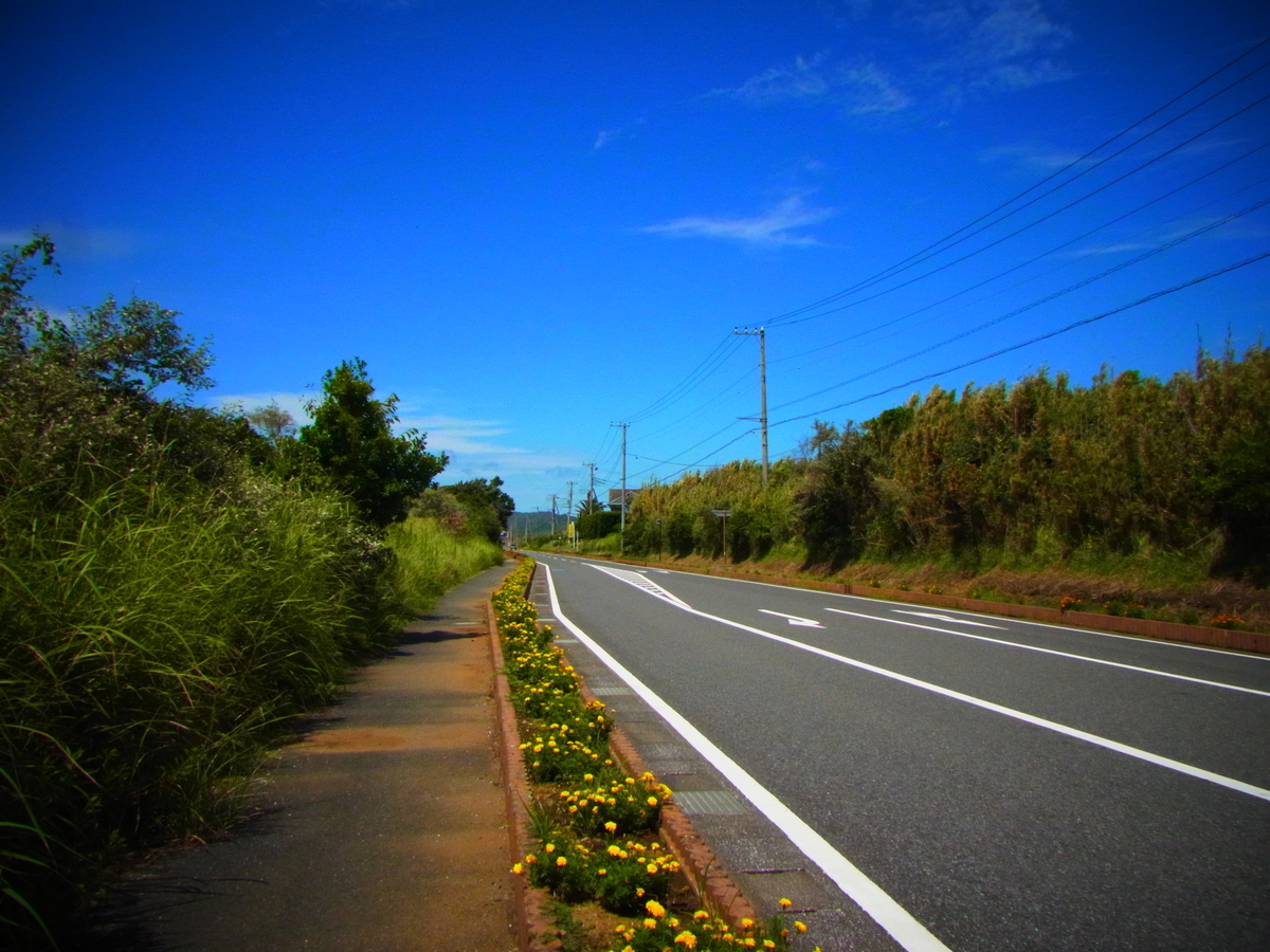 f:id:tekuteku47:20220205202647j:plain