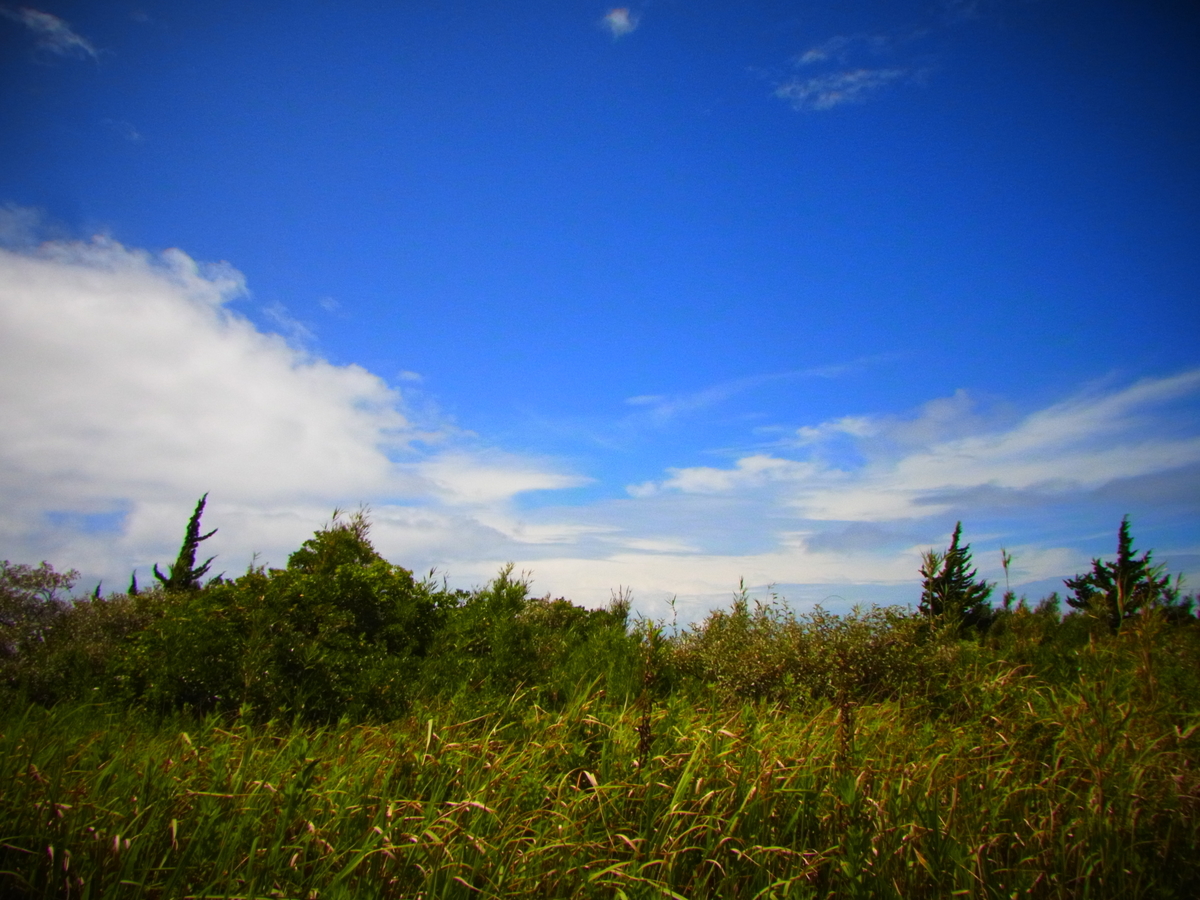 f:id:tekuteku47:20220205203511j:plain