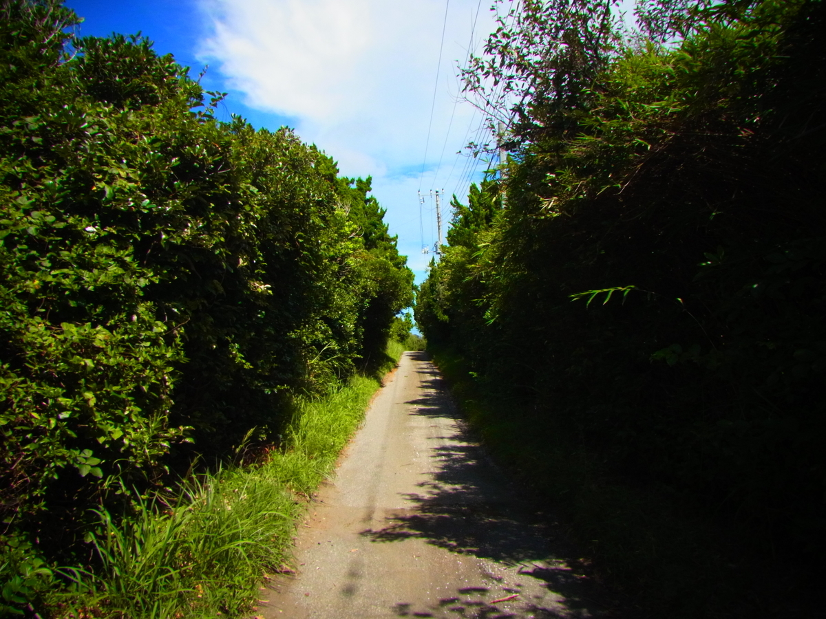 f:id:tekuteku47:20220205204331j:plain