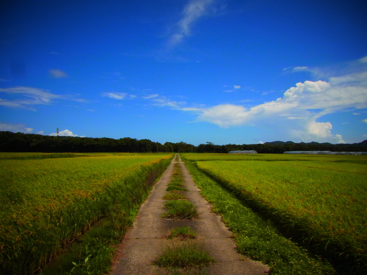 f:id:tekuteku47:20220205205428j:plain