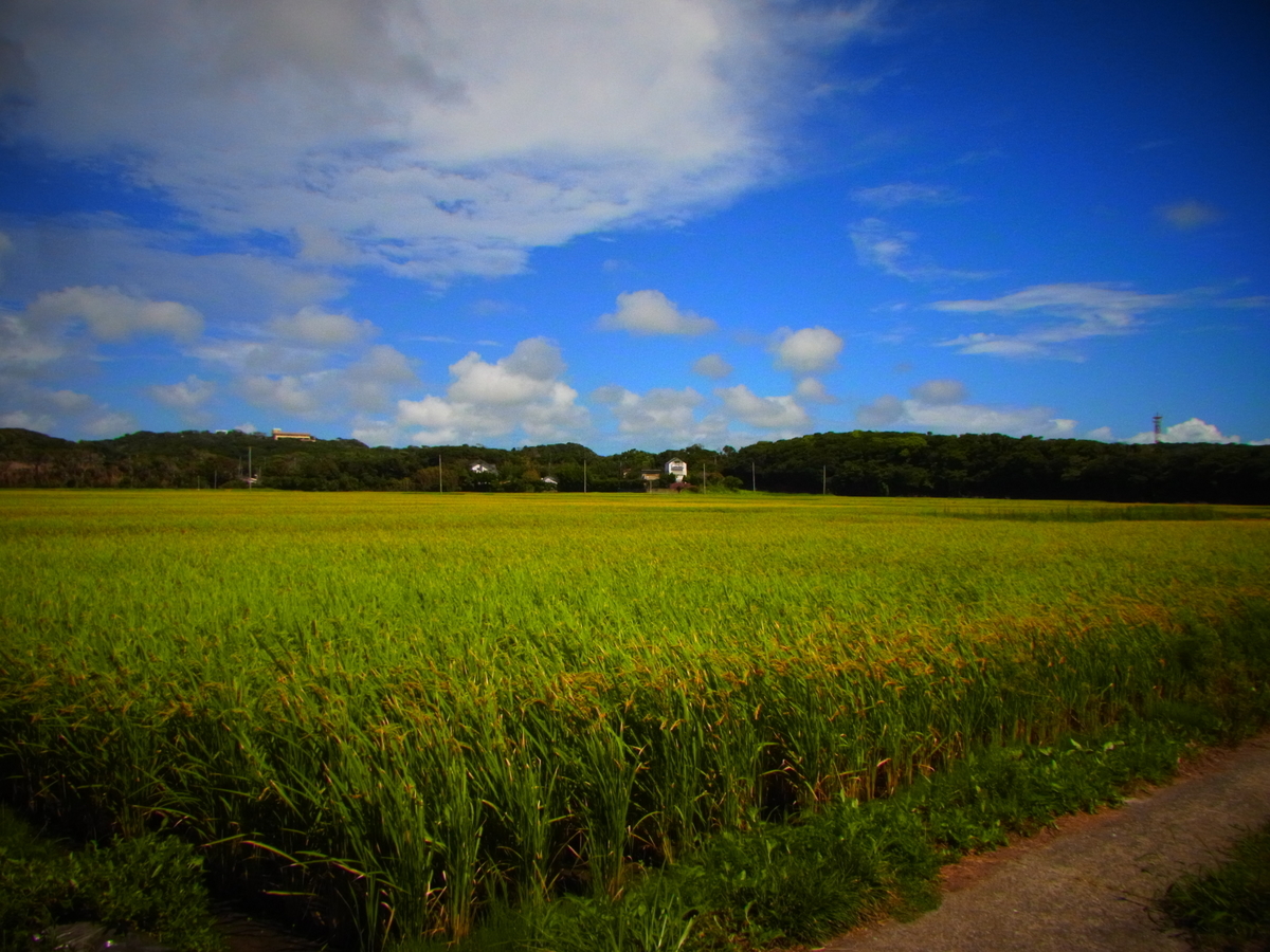 f:id:tekuteku47:20220205205647j:plain