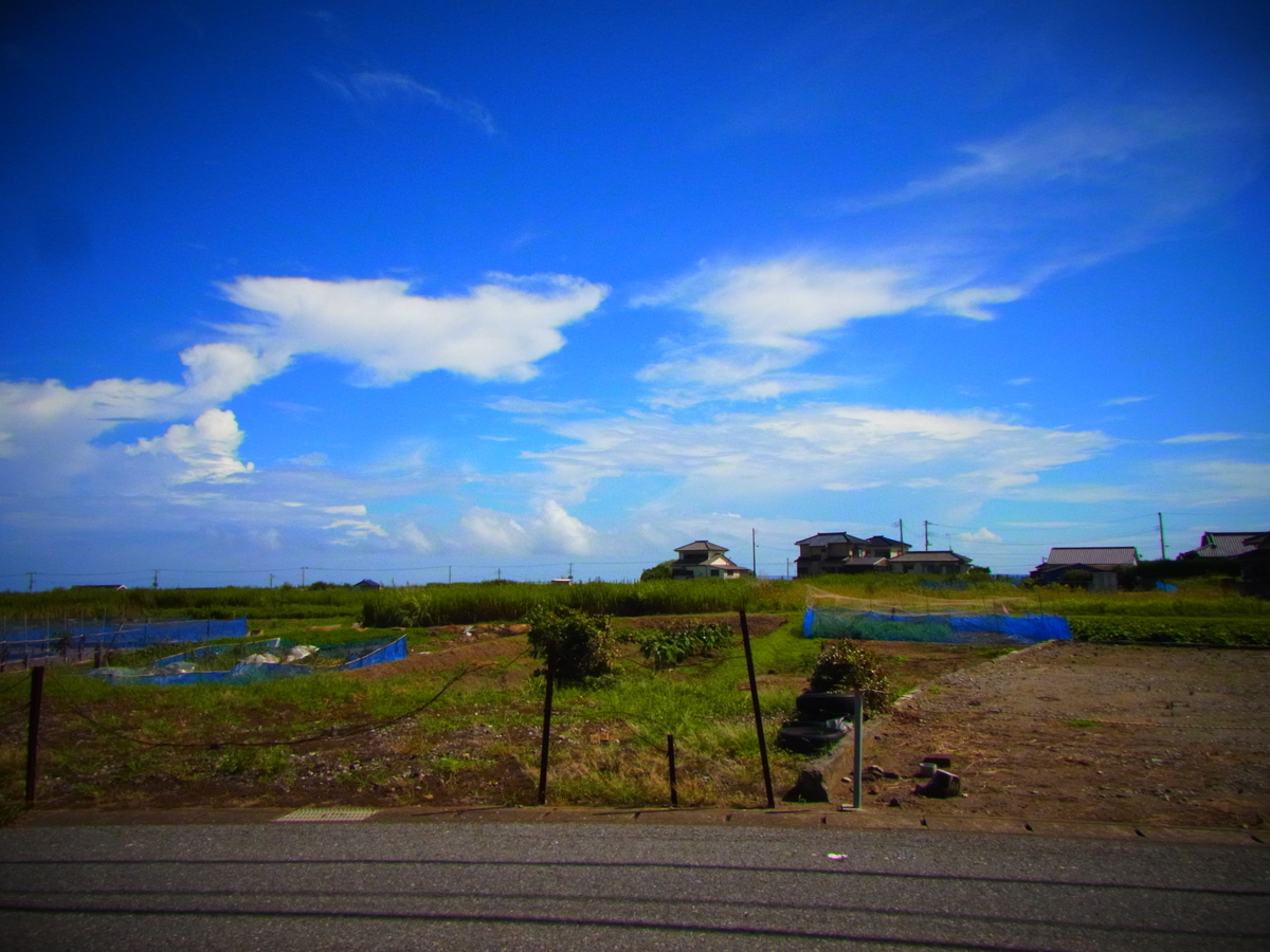 f:id:tekuteku47:20220206035424j:plain