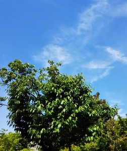 f:id:tekuteku8t:20190429192216j:plain f:id:tekuteku8t:20190429192216j:plain