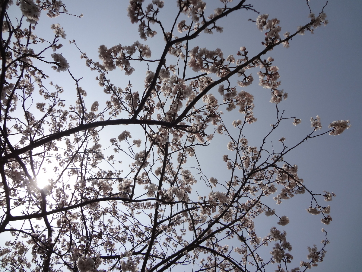 f:id:tekuteku_nikki:20190902100215j:plain