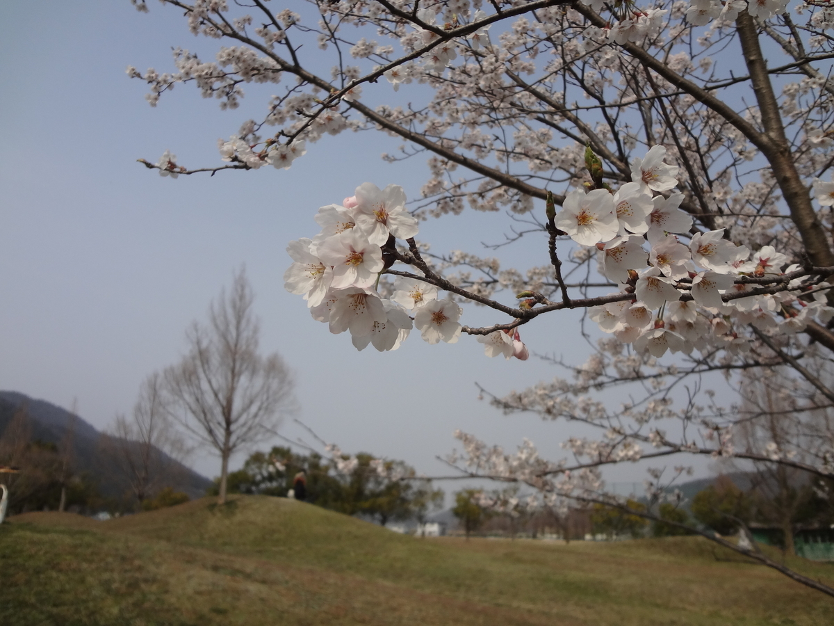 f:id:tekuteku_nikki:20190902100256j:plain
