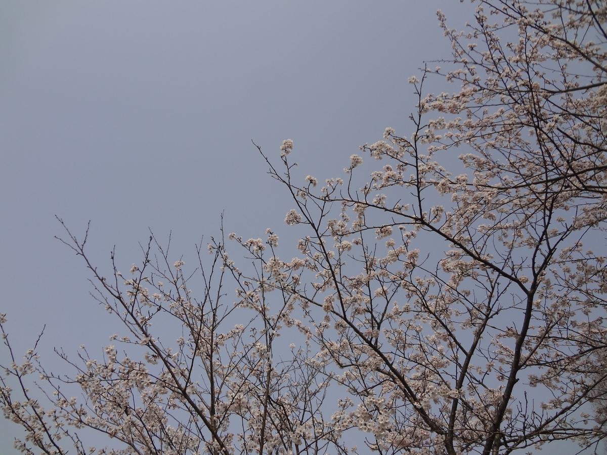 f:id:tekuteku_nikki:20190902100317j:plain