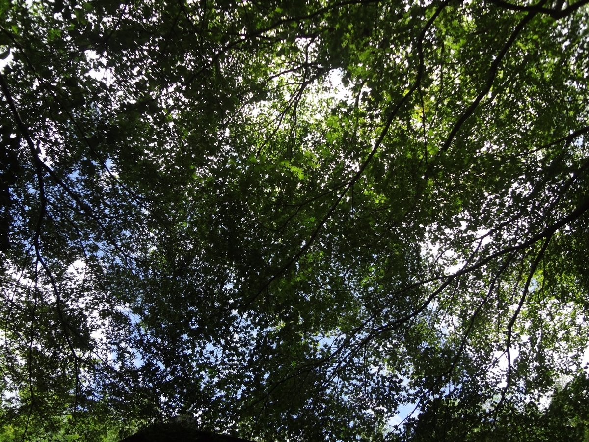 f:id:tekuteku_nikki:20190903100140j:plain
