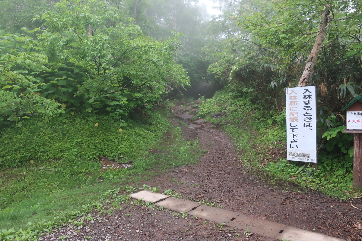 f:id:tekutekuaruki:20210702202103j:plain