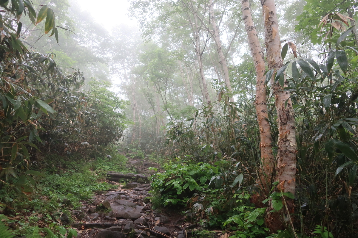 f:id:tekutekuaruki:20210702202122j:plain