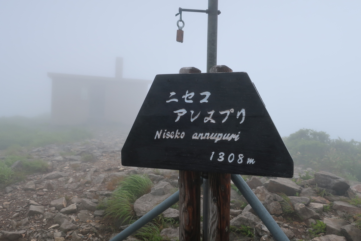 f:id:tekutekuaruki:20210702202233j:plain