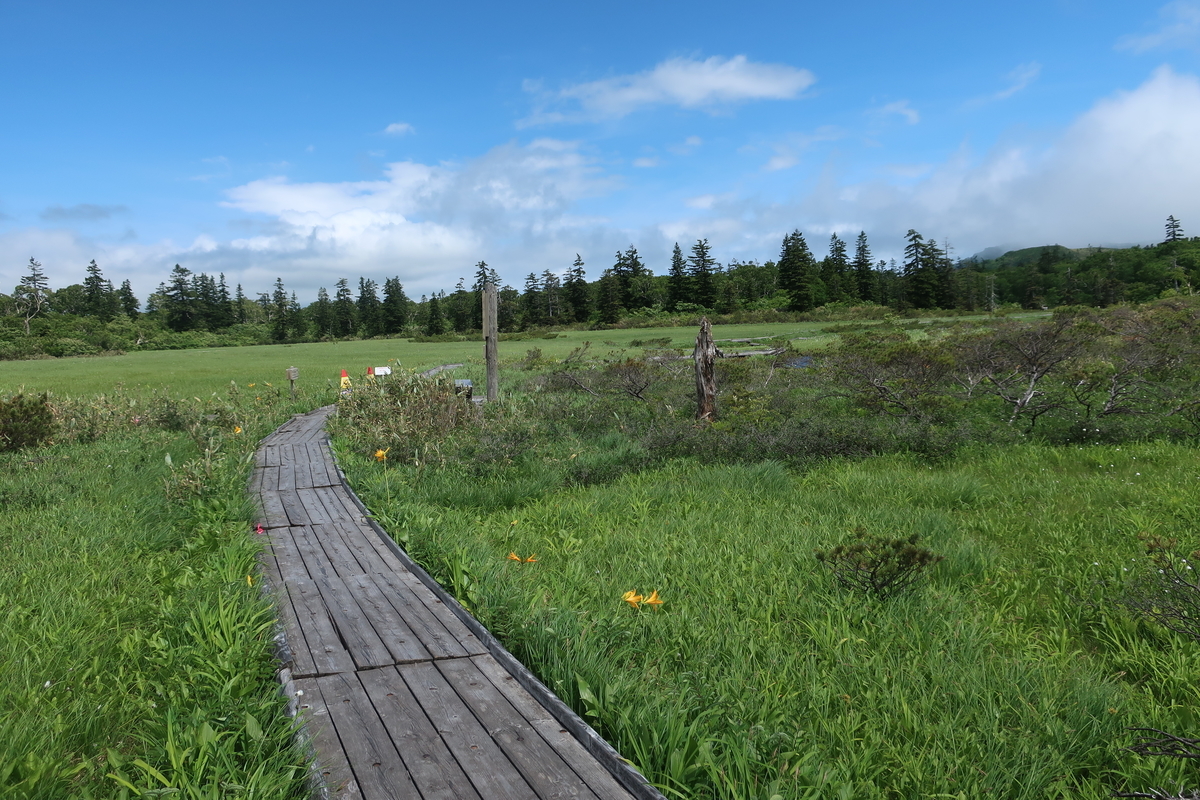 f:id:tekutekuaruki:20210702202331j:plain