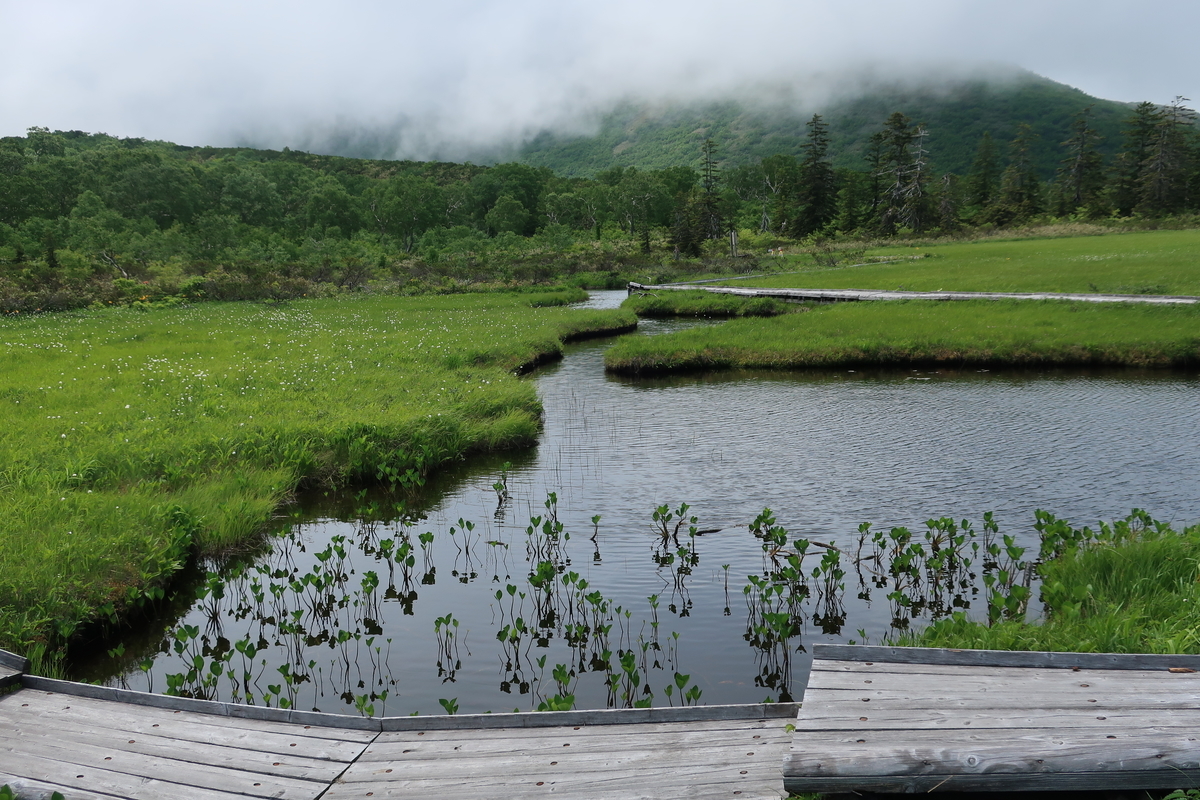 f:id:tekutekuaruki:20210702202355j:plain