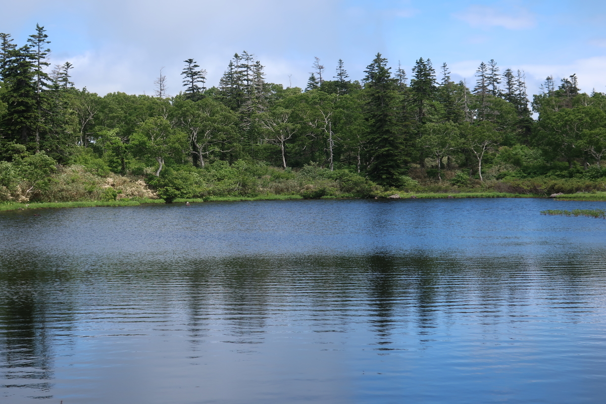 f:id:tekutekuaruki:20210702202459j:plain