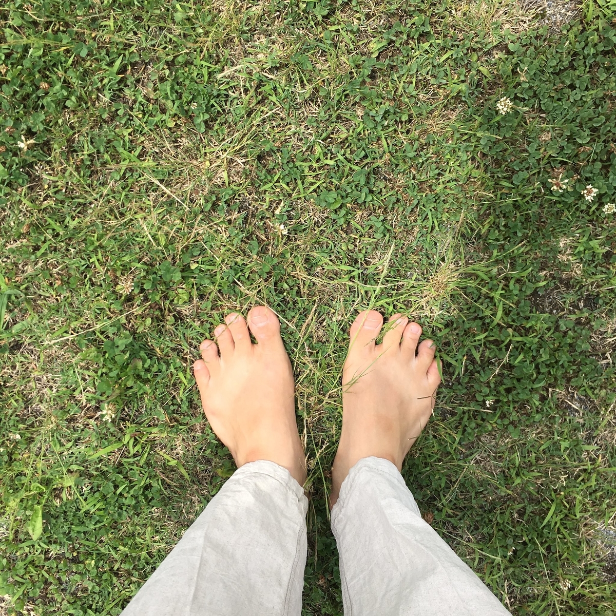 f:id:tekutekuya:20190623170454j:plain f:id:tekutekuya:20190623170454j:plain