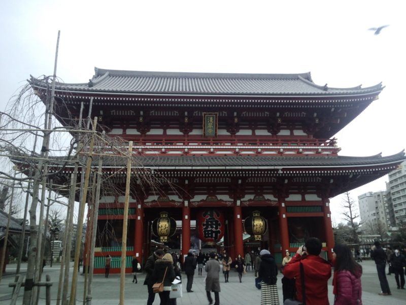 f:id:telbows:20130219161638j:image:w360:left f:id:telbows:20130219161638j:image:w360:left