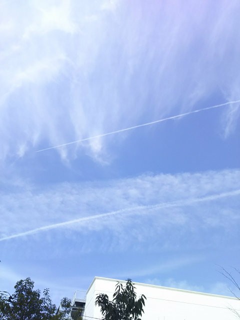 f:id:temackee:20190224120247j:plain:w240