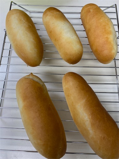 f:id:temahime:20200607152033j:image