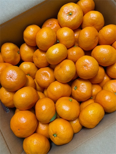 f:id:temahime:20201201140149j:image f:id:temahime:20201201140149j:image