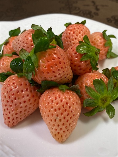 f:id:temahime:20201214142609j:image f:id:temahime:20201214142609j:image