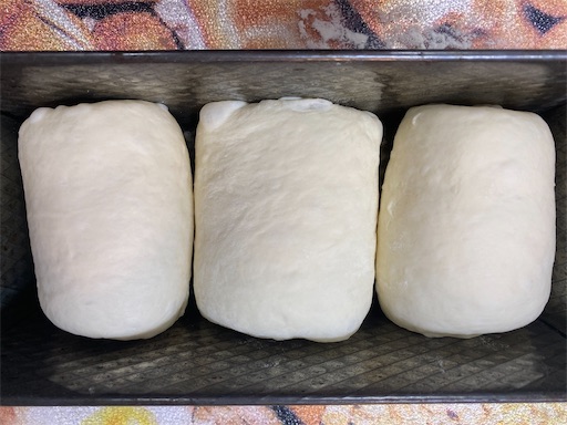 f:id:temahime:20210207150550j:plain