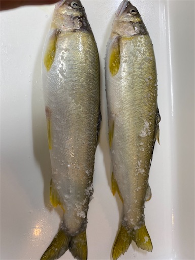 f:id:temahime:20210607151605j:image