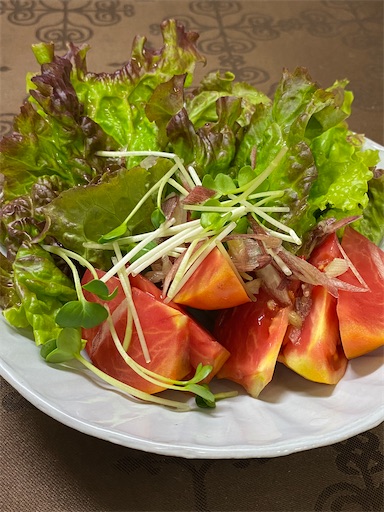 f:id:temahime:20210612162634j:image