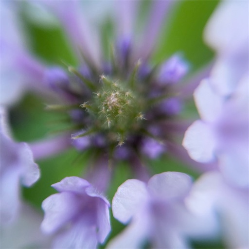 f:id:temahime:20220911164049j:image