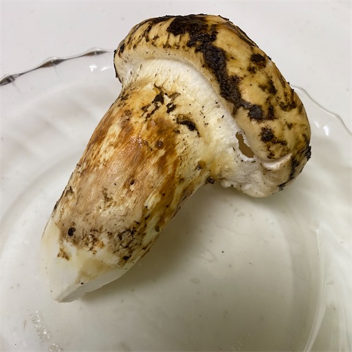 f:id:temahime:20220930065650j:image