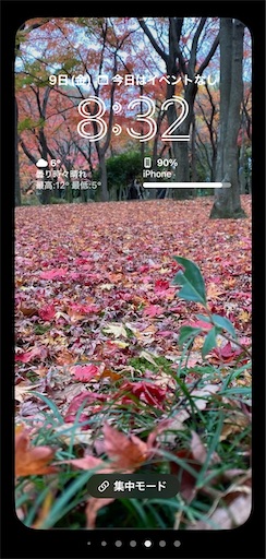 f:id:temahime:20221209100117j:image