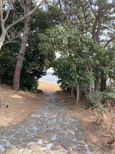 f:id:temahime:20230307170757j:image