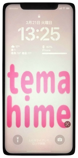 f:id:temahime:20230321134010j:image