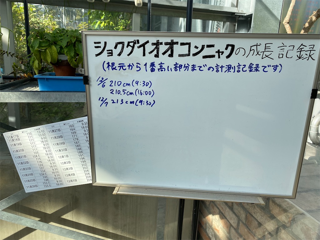 f:id:temahime:20231209142827j:image