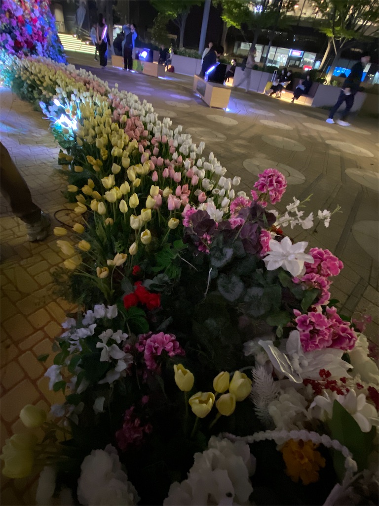 f:id:temahime:20260412130222j:image f:id:temahime:20260412130222j:image