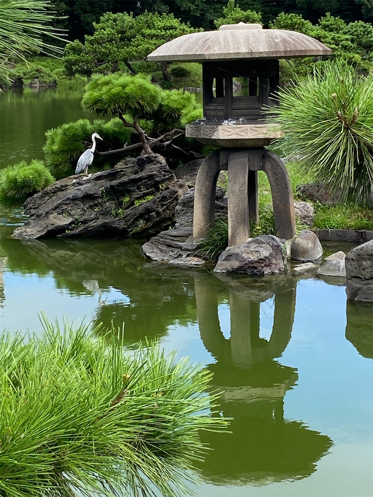 f:id:temahime:20260731015859j:image f:id:temahime:20260731015859j:image