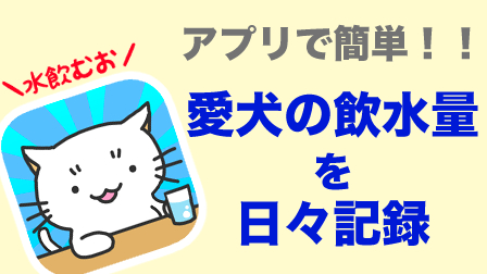 f:id:temari_pome:20201208101226j:plain