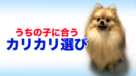 f:id:temari_pome:20201208125109j:plain