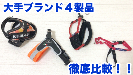 f:id:temari_pome:20201210074251j:plain