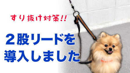 f:id:temari_pome:20201211153516j:plain