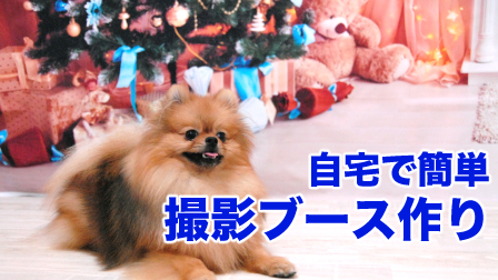 f:id:temari_pome:20201222154856j:plain