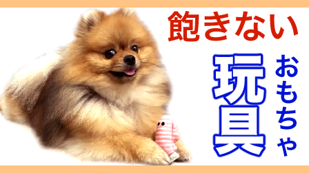 f:id:temari_pome:20210806164308j:plain