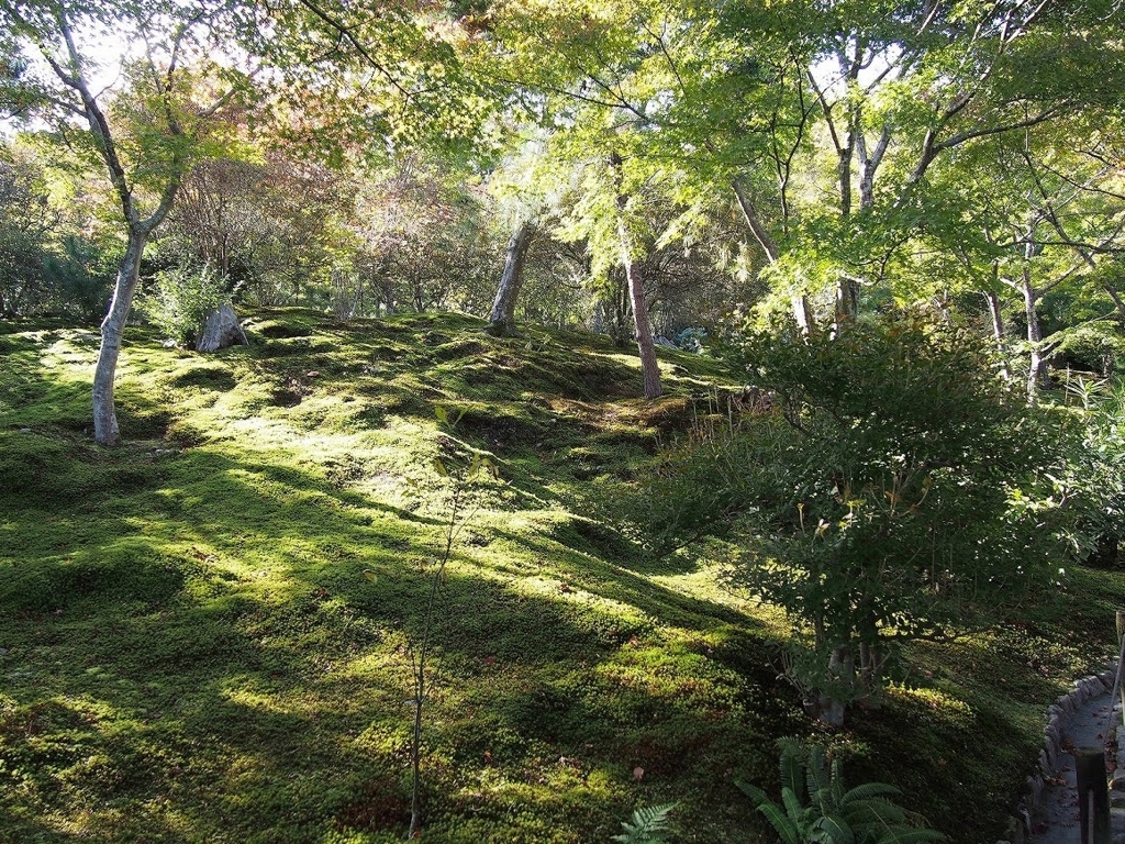 f:id:temcee:20171213232837j:plain f:id:temcee:20171213232837j:plain