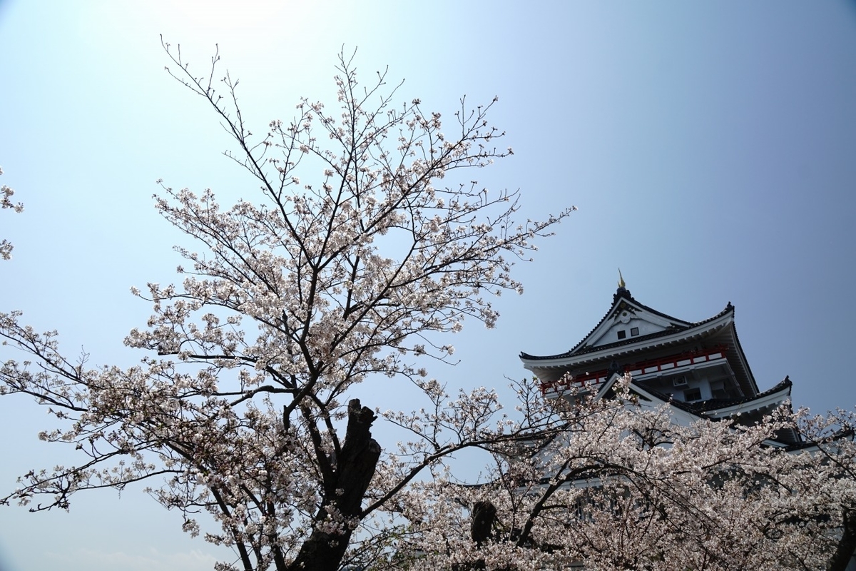 桜と熱海城