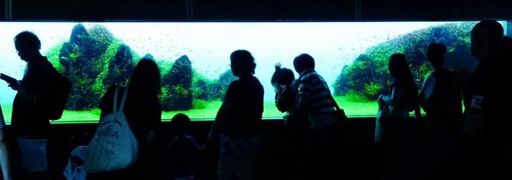 すみだ水族館